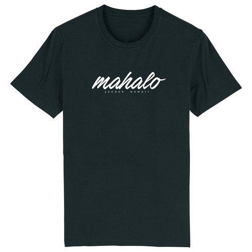 hawaii t shirt